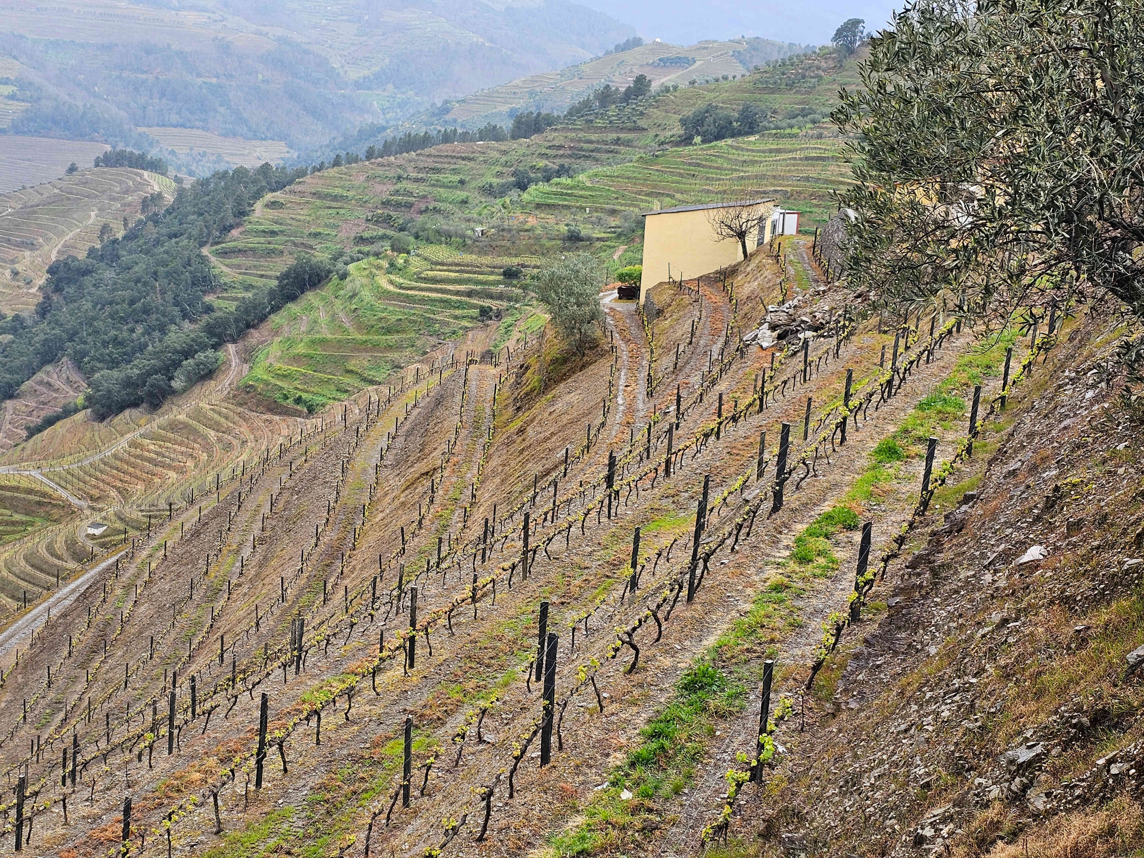 Douro